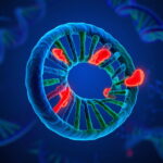 Could a Simple Vitamin Reverse the World’s Most Common Liver Disease?