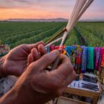 TTG Rimini Fair Excludes Israel Following Gaza Conflict Debate