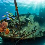 France’s Prime Minister Sébastien Lecornu Resigns After Just 26 Days in Office