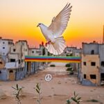 Freed Palestinian Prisoners Reunite with Families in Gaza and West Bank