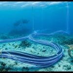 Instagram Rewards Top Creators with Gold Rings Instead of Cash