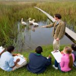 UK Introduces V-Levels to Simplify Post-16 Education Options