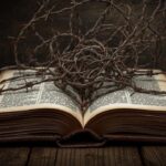 Scientists Reveal How Life’s Most Essential Molecule Enters Mitochondria