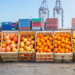 Bitcoin Sinks to $104,782 as Trump Escalates US-China Trade Battle