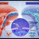 Why It Rains on the Sun- Scientists Finally Solve the Mystery