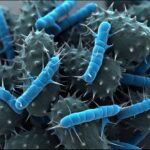 MSU Scientists Discover How Plants ‘Talk’ with Light to Boost Growth