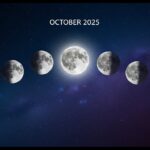 Bitcoin Hits Record, Surpasses $125,000