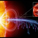 Pomegranate: Nature’s Sweet Secret to Better Health and Immunity