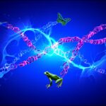 Sweet Solution? Stevia Compound May Boost Hair Growth