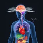 Scientists Discover Stem Cells That Could Regrow Teeth and Bones