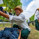 Scientists Warn: Earth Has Passed First Climate Tipping Point