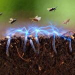 Tiny Robots That Swarm, Adapt, and Heal Themselves