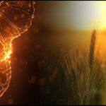 Bird Flu Hiding in Cheese? The Surprising New Discovery of Food Safety Risk