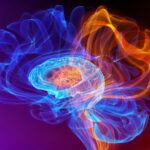 Limiting Sugar in Childhood May Lower Future Heart Disease Risk, Study Finds