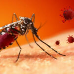 World Food Day 2025: Pakistan Unites for Healthy and Sustainable Food