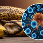 World Food Day 2025: Pakistan Unites for Healthy and Sustainable Food