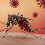 Canada Ready to Resume US Trade Talks After Trump Ends Negotiations