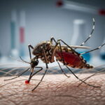 Foxconn to Invest $1.37 Billion in AI Supercomputing Expansion