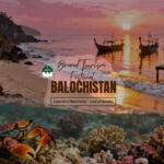 Women-Led Travel Agencies Redefine Global Tourism with Purpose and Heart