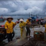 Zohran Mamdani’s Authentic Appeal Wins Over Young Voters in New York