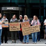 Flu Mutation Sparks Early and Severe Winter Outbreak Across the UK