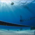 Pakistan Condemns Gaza Attacks and Urges Global Action