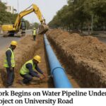 Chimpanzees Show Human-Like Rational Thinking, Scientists Reveal