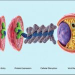 China Extends Visa-Free Travel for 40+ Countries to Boost Tourism