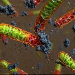 “Rotten Egg” Gas Could Help Cure Stubborn Nail Infections, Study Finds