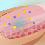 Bacteria Could Help Clean “Forever Chemicals,” Scientists Find New Hope for PFAS Cleanup