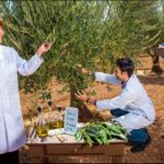 Leucine: The Power Nutrient That Supercharges Your Cells’ Energy