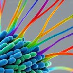 Floating Raindrop Device Creates Clean Electricity Using Water as Power Source