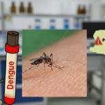 Pakistan Targets $200mn Meat Exports to Malaysia