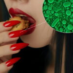 Dengue Crisis in Sindh: PMA Warns Government