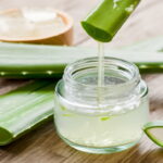 Bumblebees Learn to Code: Scientists Reveal Insects’ Surprising Intelligence