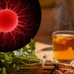 Ride 6 Motorcycle Racing Sequel Arrives February 2026