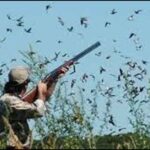 Sujawal Court Incident Leads Sindh Assembly to Review Traffic Fines