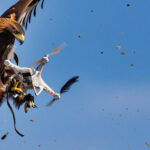 FM-90 Readiness Drill Highlights Naval Strength and Regional Outreach