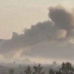 Scientists Find Protein That Rejuvenates the Aging Immune System