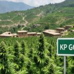 Interbank Dawn Uptick: Rupee Gains as Dollar Slips