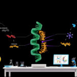 MIT Study Reveals Hidden Brain Circuit That Actively Rewrites Human Vision