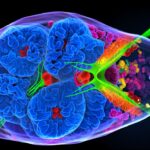 Uranus and Neptune May Be Rock-Rich Worlds, Not Just Icy Giants