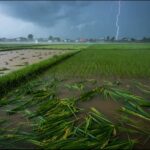 Gravitational Lensing Offers New Clues About the Universe’s Expansion Rate