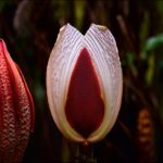 How Everyday Sights and Sounds Shape Your Decisions