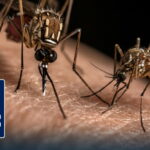 RidgeAlloy Turns Vehicle Scrap Into High-Performance Auto Parts