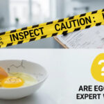 Mutant Football League 2 Launches on All Platforms