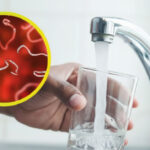 Exodus Sci-Fi RPG Emerges as a Bold Mass Effect Challenger