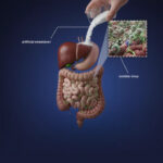 Cardiologist: Why Good Sleep Is Powerful Medicine for Brain and Heart Health