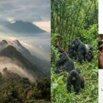 Stumble Guys Reunites With Jurassic World