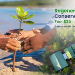 Viking Atla’s Romantic Danube Cruise to Transform Central European Tourism in 2027